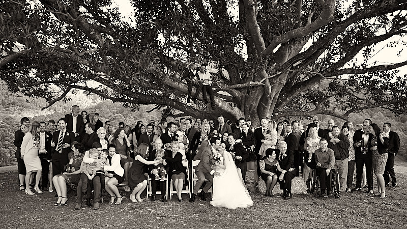  wedding family photo 